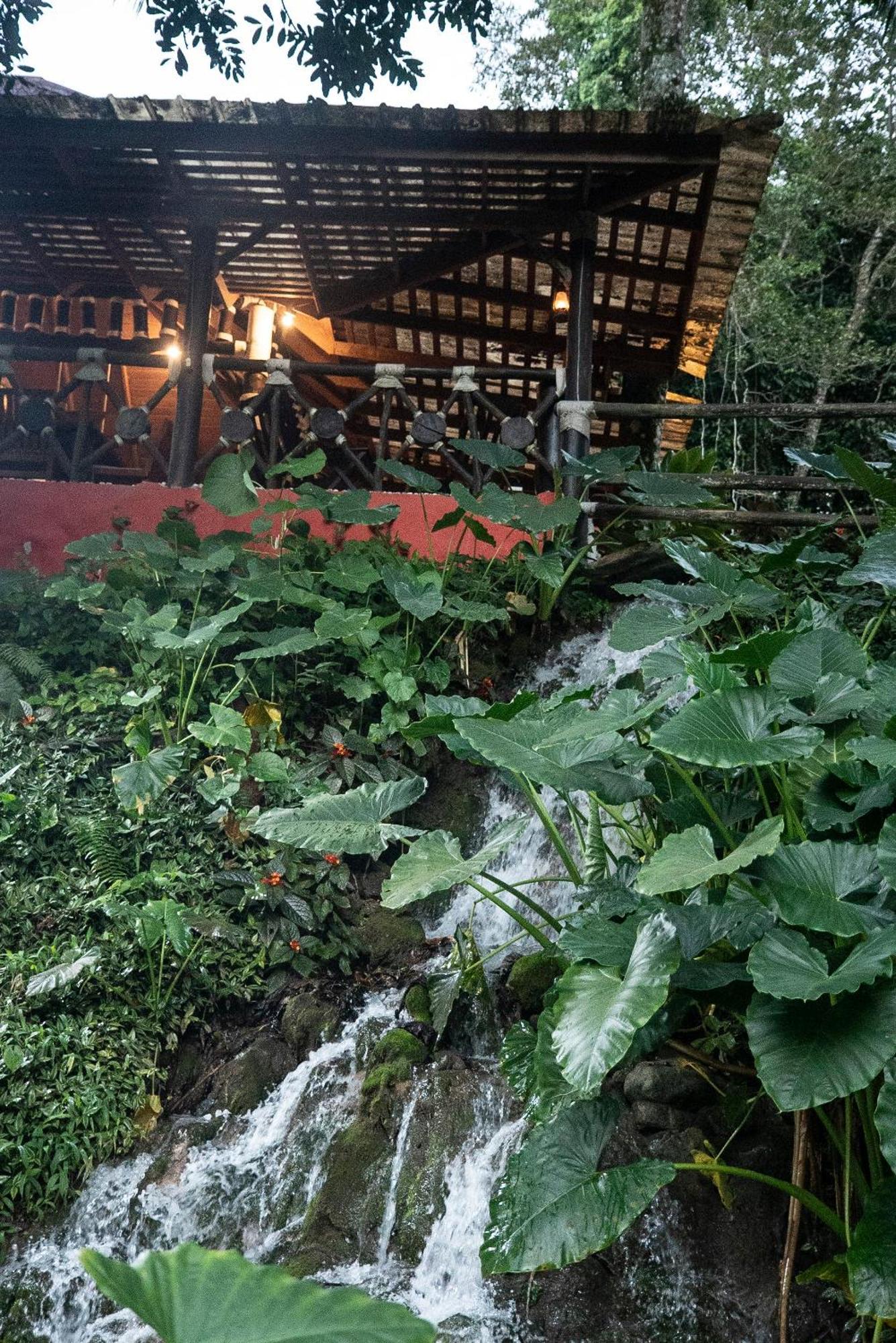 Platon Ecolodge Barahona Экстерьер фото